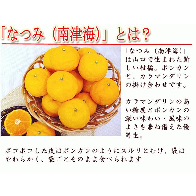 なつみ 南津海 約5キロ 高知産 山北産 ご家庭用 サイズおまかせ L ３ｌ 送料無料 ギフト プレゼント 母の日 お中元 フルーツ みかん Natumi50 旨い果物 魚のアグリファーム高知 通販 Yahoo ショッピング
