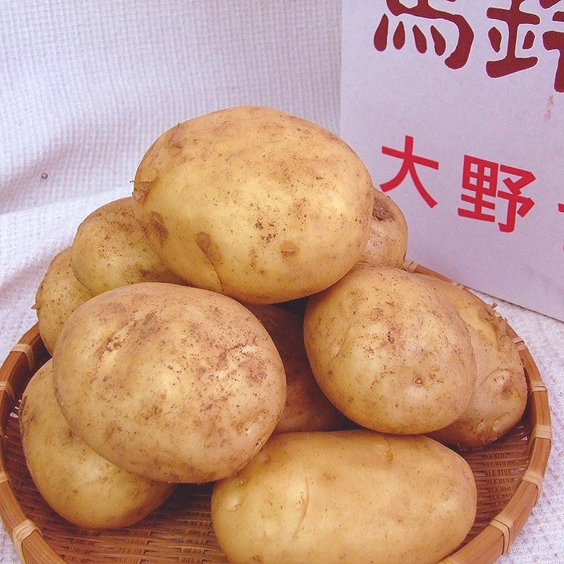 最新入荷 新じゃがいも じゃがいも 九州各県産 1ケース 約10kg Rmladv Com Br
