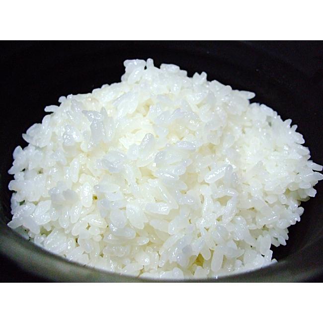 仁井田米 5kg にこまる にいだまい 高知産 令和6年産 窪川 仁井田米 5kg にこまる にいだまい 高知産 令和6年産 窪川