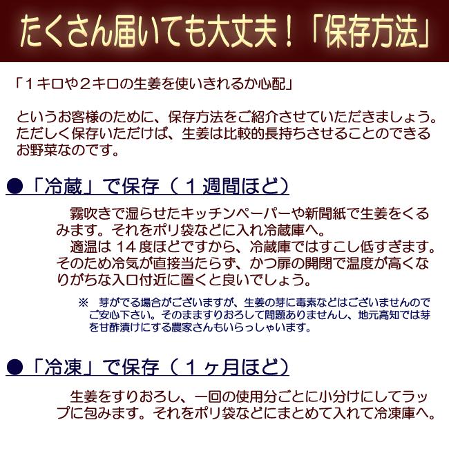 四万十のしょうが 生姜 約4キロ 高知県四万十町産 送料無料 ひね生姜