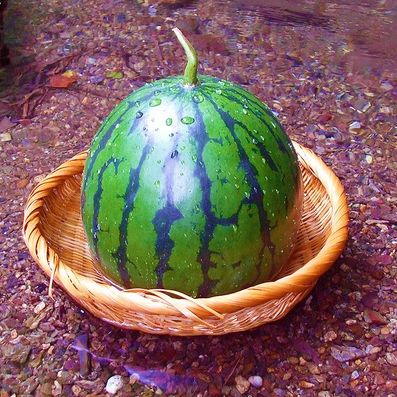 高知産 ブランド長引　甘湧すいか 6L 約１０kg～ 北海道沖縄発送不可 スイカ 西瓜 すいか 甘湧 約6kg 高知産 送料無料 露地栽培 即発送 国産