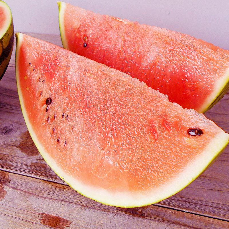 スイカ 西瓜 すいか 甘湧 約6kg 高知産 送料無料 露地栽培 即発送 国産