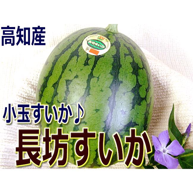☆小玉すいか「長坊すいか」 約2キロ 高知産 ☆今だけの「即発送」 南国土佐のとってもカワイイご家庭用小玉すいか :suika-nagabou01:旨い果物・魚のアグリファーム高知 通販 高知県産スイカ大玉、即購入OK