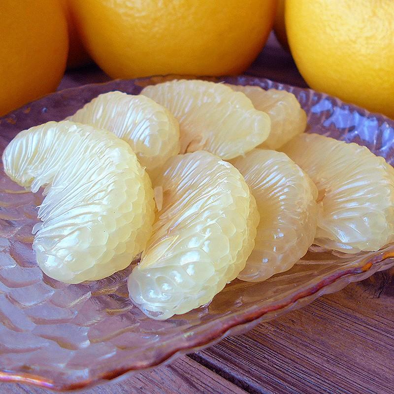 文旦 わけあり超大玉 土佐文旦 約10kg 露地ぶんたん 高知産 ご家庭用