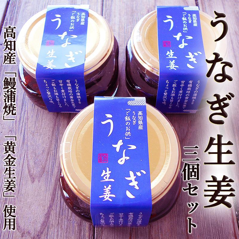 うなぎ生姜 80ｇ×３個セット 高知産鰻と高知産黄金生姜使用 ご飯のお供 酒の肴 高知産 国産 敬老の日 ギフト ウナギ 鰻 蒲焼き 土用丑の日｜chokuhan