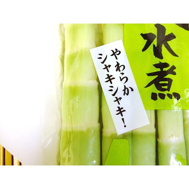タケノコ たけのこ 筍 水煮 6本 四方竹の水煮 6本セット 約230g 高知産 しほうちく シホウチク 筍