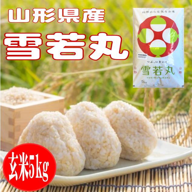 令和6年産 玄米5kg 山形県産雪若丸 : 産直 お米の金子 - 通販 - Yahoo 