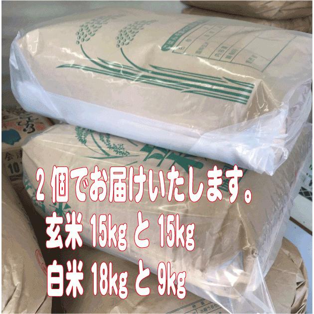 令和5年産　玄米30kg　送料無料　茨城ミルキークイーン｜chokuso-kome-kaneko｜04