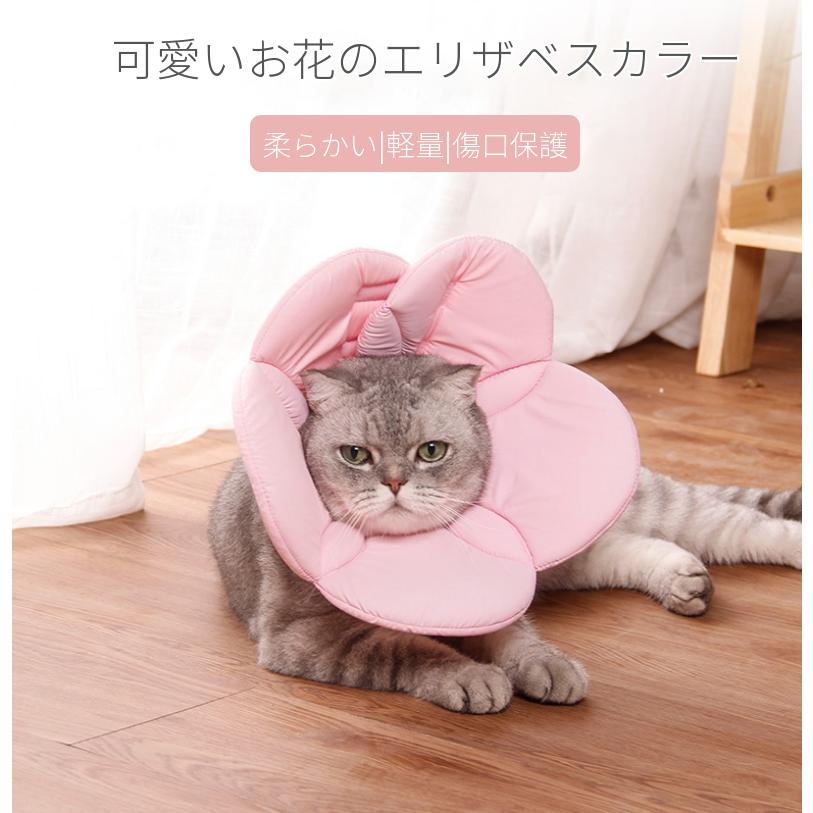 猫 犬 エリザベスカラー 軽量 柔らかい Lサイズ 一部即納／【Lサイズ】ペットソフトエリザベスカラー/簡単装着