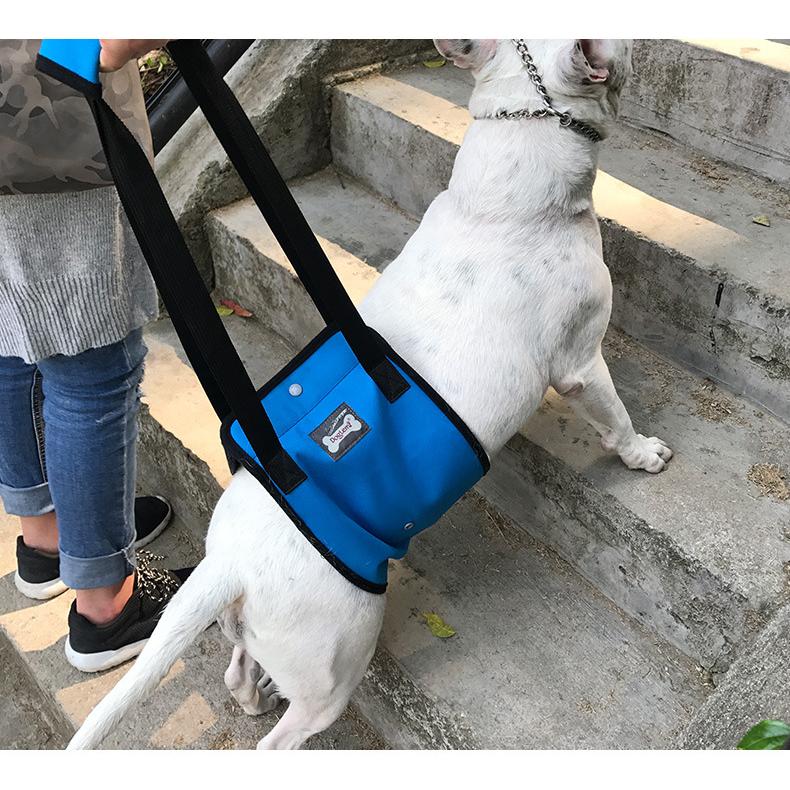 新品15個 犬用 ハーネス 介護 リード 犬 歩行補助 リハビリ まとめ売り Amazon | Kisata 犬 歩行補助ハーネス 前足 犬用ハーネス リード
