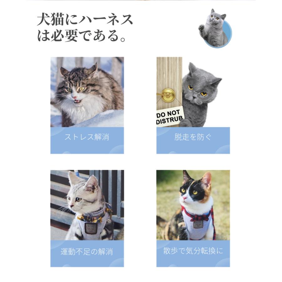 Mサイズ 猫用胸当て ハーネス リードセット ペット胸当て ペットリード 猫用品 ペットグッズ 猫リード 猫用胴輪 引きひも お散歩アイテム お出かけ用品 F859 直店 Com 通販 Yahoo ショッピング