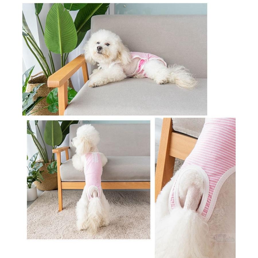 犬用猫用オムツカバーペット生理オムツ マナーウェア マナーベルト マナーバンド ドッグウェア 犬の服 しつけ マーキング防止 トイレ 介護 ペット マナーパンツ J452 直店 Com 通販 Yahoo ショッピング