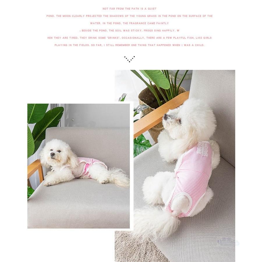 犬用猫用オムツカバーペット生理オムツ マナーウェア マナーベルト マナーバンド ドッグウェア 犬の服 しつけ マーキング防止 トイレ 介護 ペット マナーパンツ J452 直店 Com 通販 Yahoo ショッピング