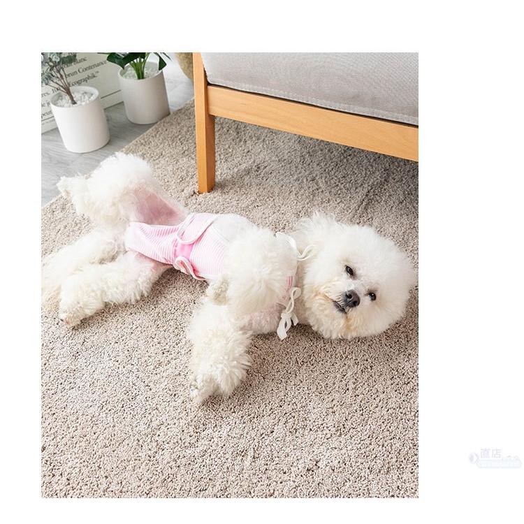 犬用猫用オムツカバーペット生理オムツ マナーウェア マナーベルト マナーバンド ドッグウェア 犬の服 しつけ マーキング防止 トイレ 介護 ペット マナーパンツ J452 直店 Com 通販 Yahoo ショッピング