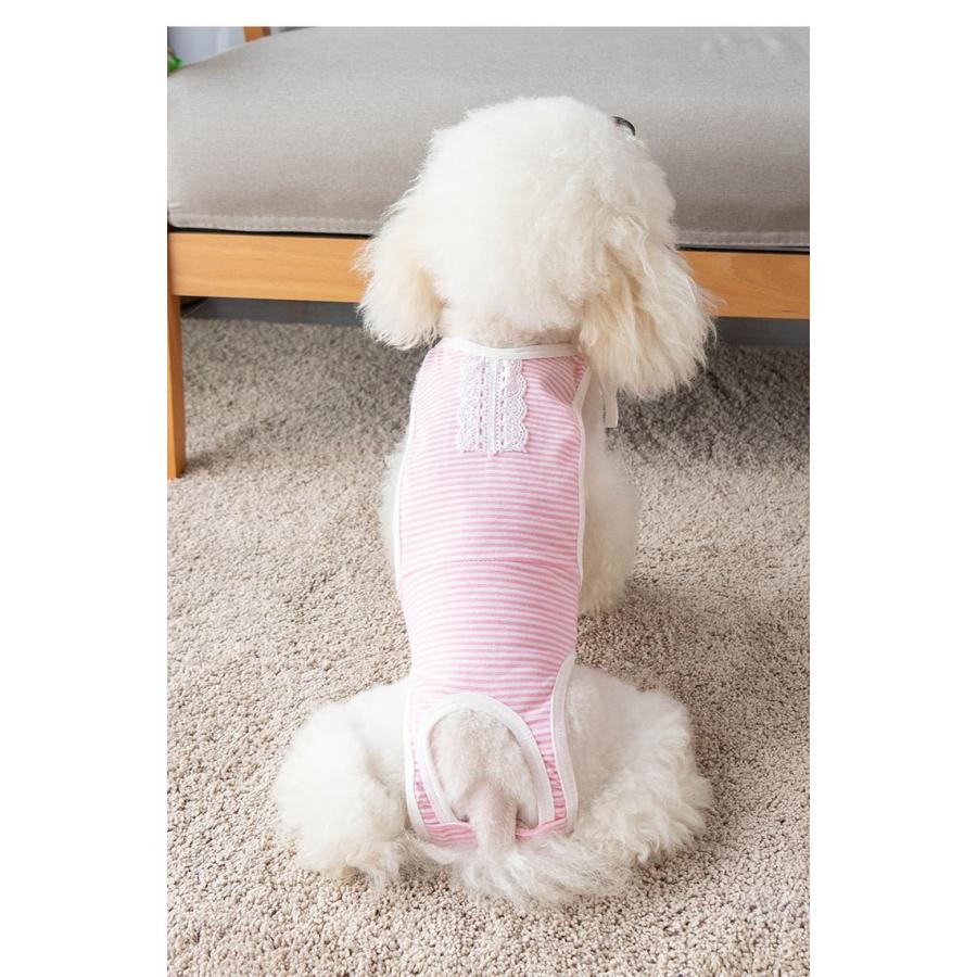 犬用猫用オムツカバーペット生理オムツ マナーウェア マナーベルト マナーバンド ドッグウェア 犬の服 しつけ マーキング防止 トイレ 介護 ペット マナーパンツ J452 直店 Com 通販 Yahoo ショッピング