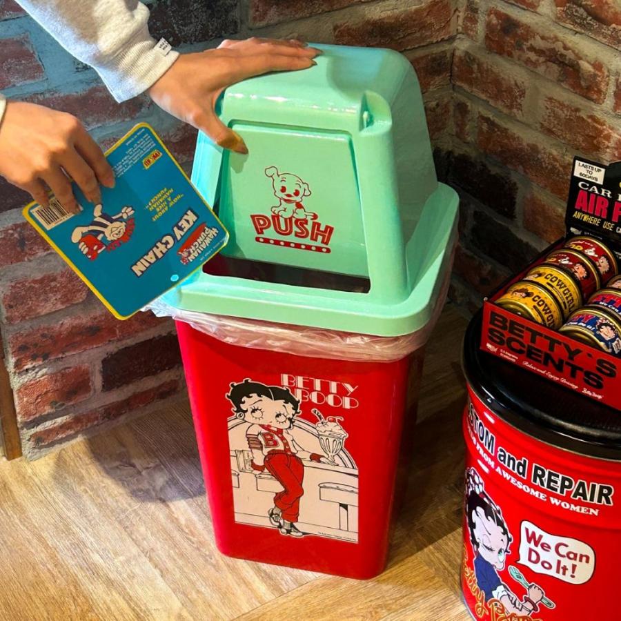 ベティ】ゴミ箱 20L フタ付き ダストボックス ベティちゃん インテリア