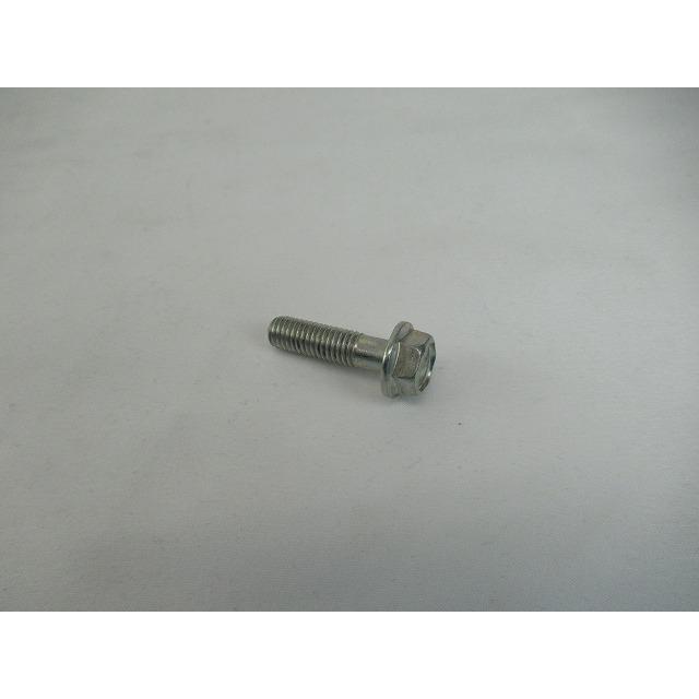 Bajaj 純正 M8 フランジボルト #39176904/59040048 : Chopsヤフー