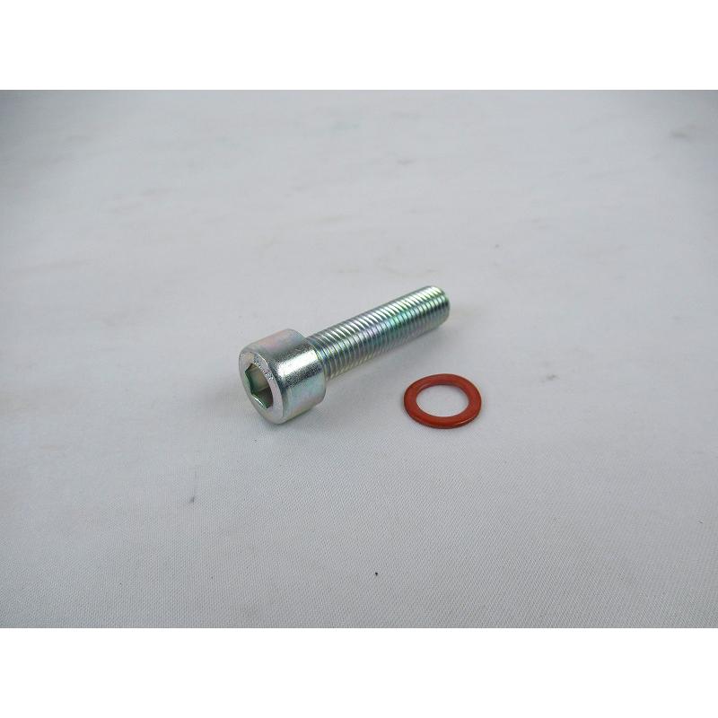 YAMAHA 純正 R15M/R15 V4 ダンパーロッドボルトセット 2FSF315800/BCWF318100 【GASKET