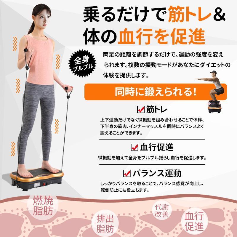 AORTD 振動マシン 最新型モデル バランスウェーブ ステッパー