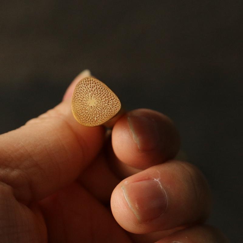 作り天然老楠竹枝教鞭竹条鞭家庭用戒尺教鞭竹節枝 : 長楽ストア - 通販 - Yahoo!ショッピング