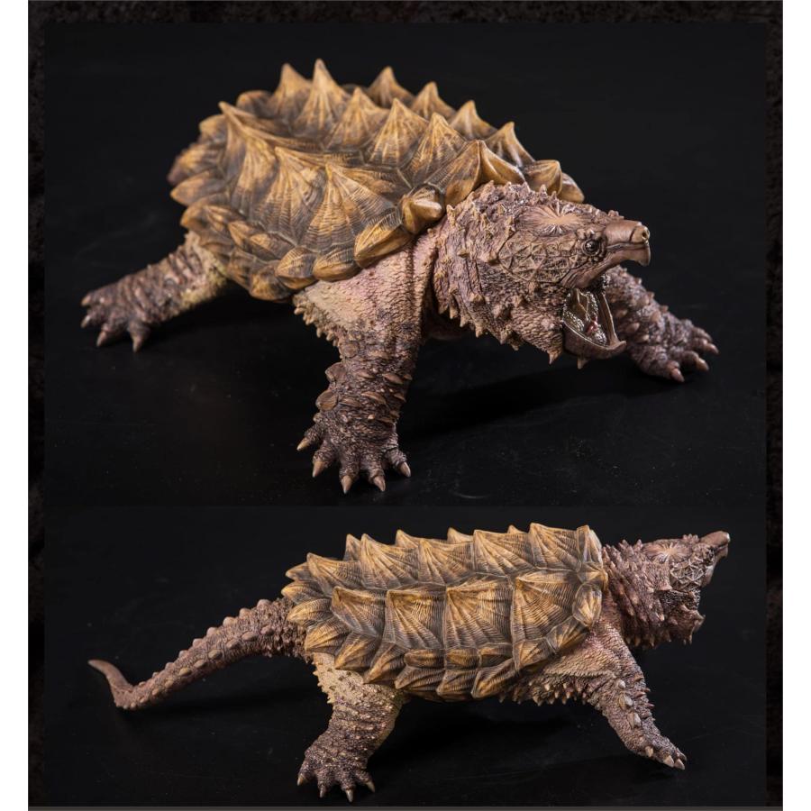 博物志 ワニガメ フィギュア 28cm 鰐亀 カミツキガメ科 爬虫綱 亀