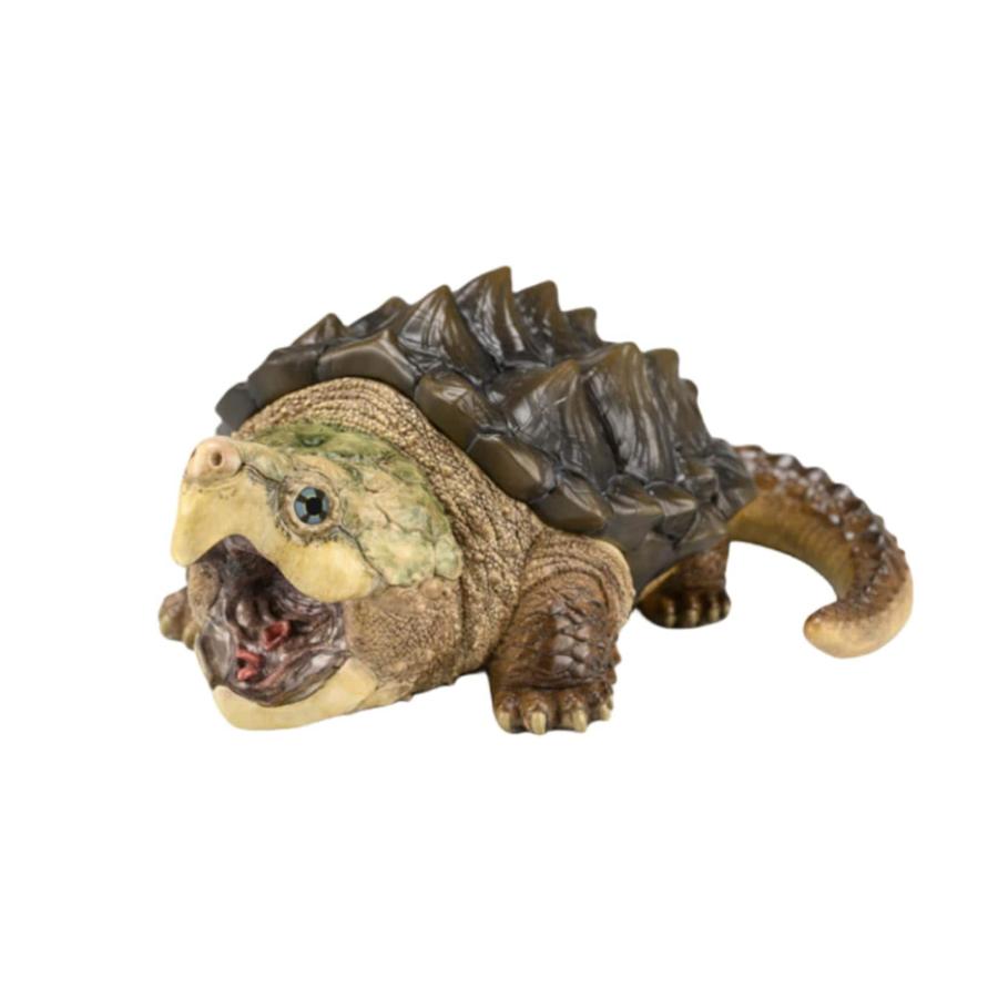 ワニガメ カメ 亀 15CM級 カメ目 カミツキガメ科 ワニガメ属 爬虫類