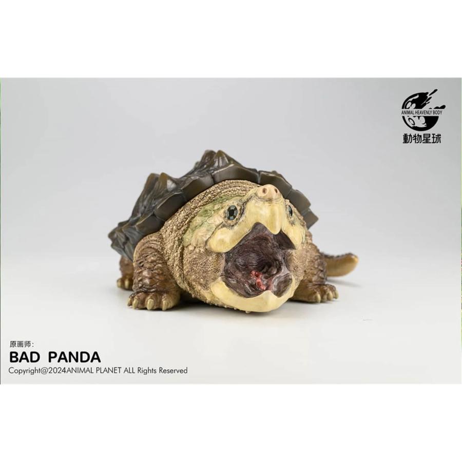 ワニガメ カメ 亀 15CM級 カメ目 カミツキガメ科 ワニガメ属 爬虫類