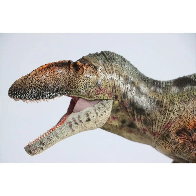 1/35 サイズ カルカロドントサウルス 肉食 恐竜 リアル 科学 フィギュア PVC プラモデルの画像