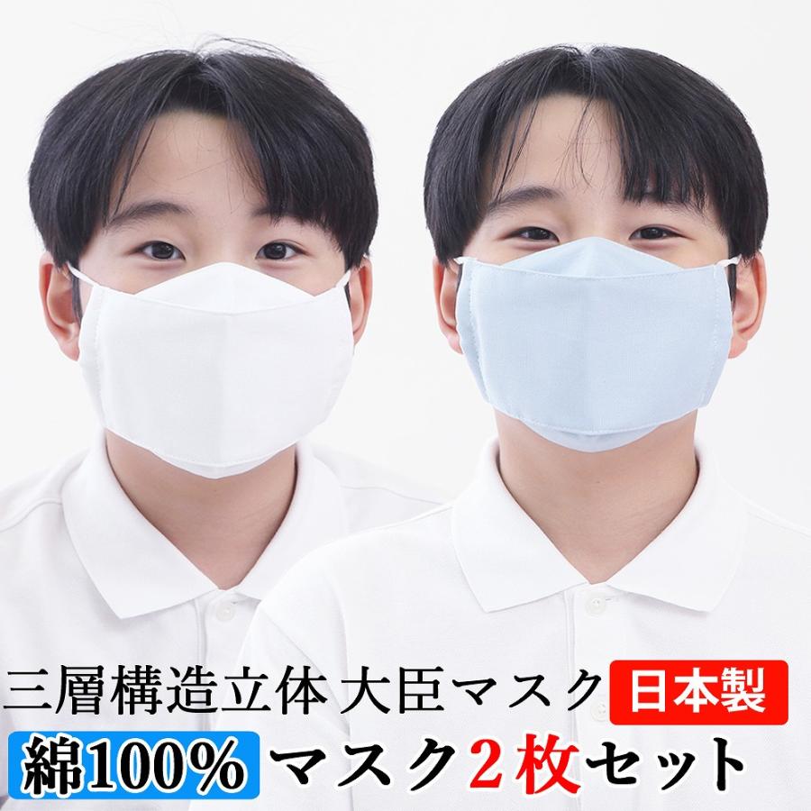 子供用 マスク 2枚セット 綿100％ 大臣マスク【水色・白】 立体マスク