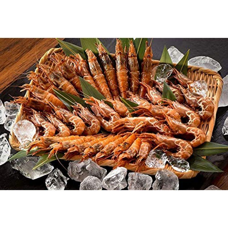 Choriストア港ダイニングしおそう がらえび 500g 約35尾入り 産地直送 越前産 ガラエビ えび エビ 海老 冷凍 冷凍えび 冷凍エビ 冷凍海老 93 以上節約
