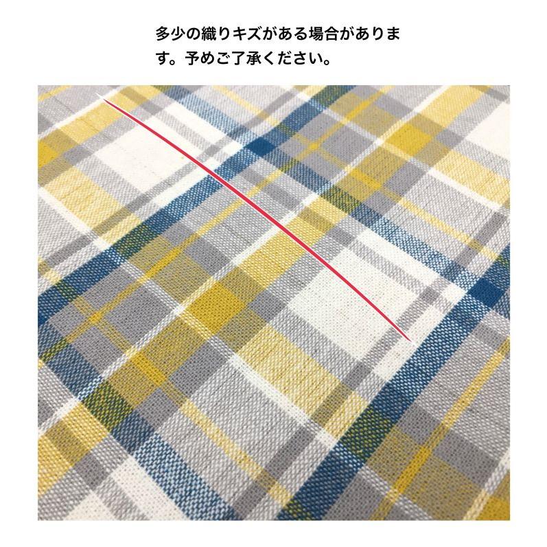 ランチョンマット 2枚セット 小学校 幼稚園 給食 洗える 北欧 とら柄