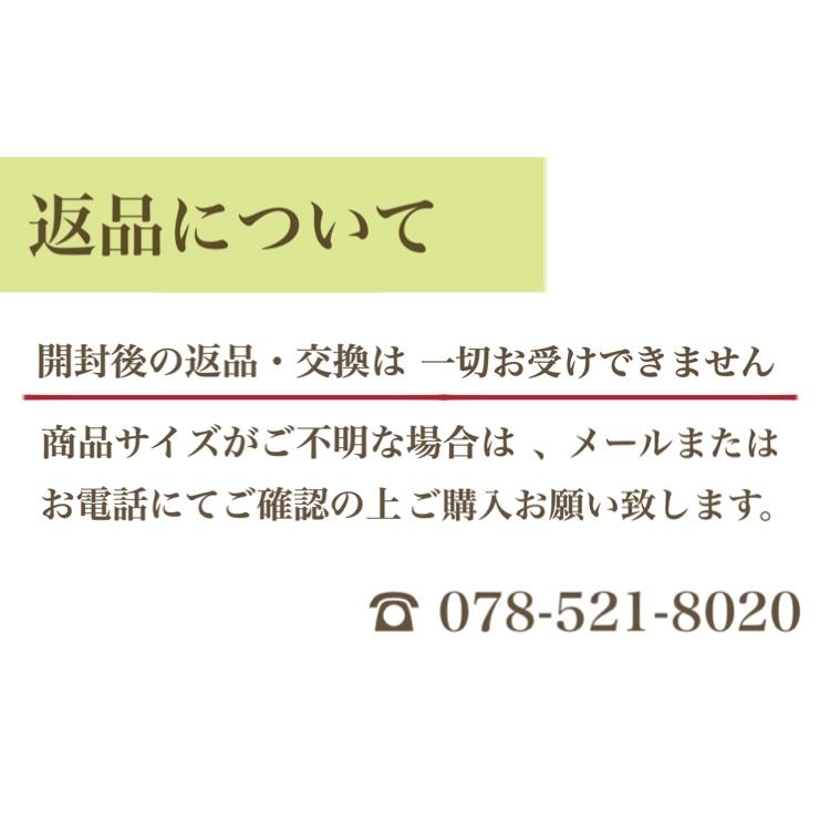 玄関 網戸 マンション 鍵つき 玄関網戸 網戸 サッシ節電 エコ ナイスウインズドア ポスト付 送料無料！｜choro-aki｜17