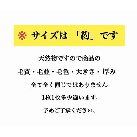 ムートン 原皮 長毛 2匹 ブラウン 暖かい 送料無料 : インテリア あき