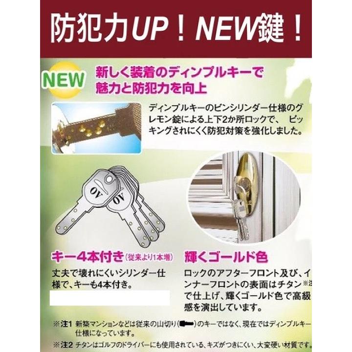 玄関　網戸　戸建て親子タイプ　鍵つき　送料無料！　網戸　ナイスウインズドア　エコ　サッシ節電　ポスト付　玄関網戸