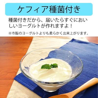 ヨーグルト ヨーグルト90｜株式会社シンギ