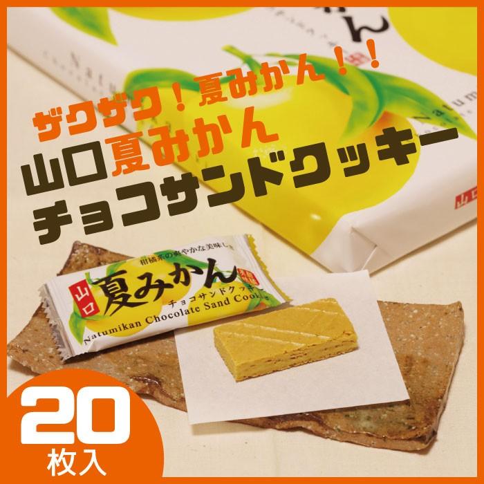 夏みかんチョコサンドクッキー 20枚入り 山口 お土産 人気 : 山口ぶち