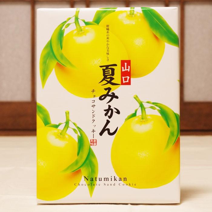 夏みかんチョコサンドクッキー 20枚入り 山口 お土産 人気 : 山口ぶち