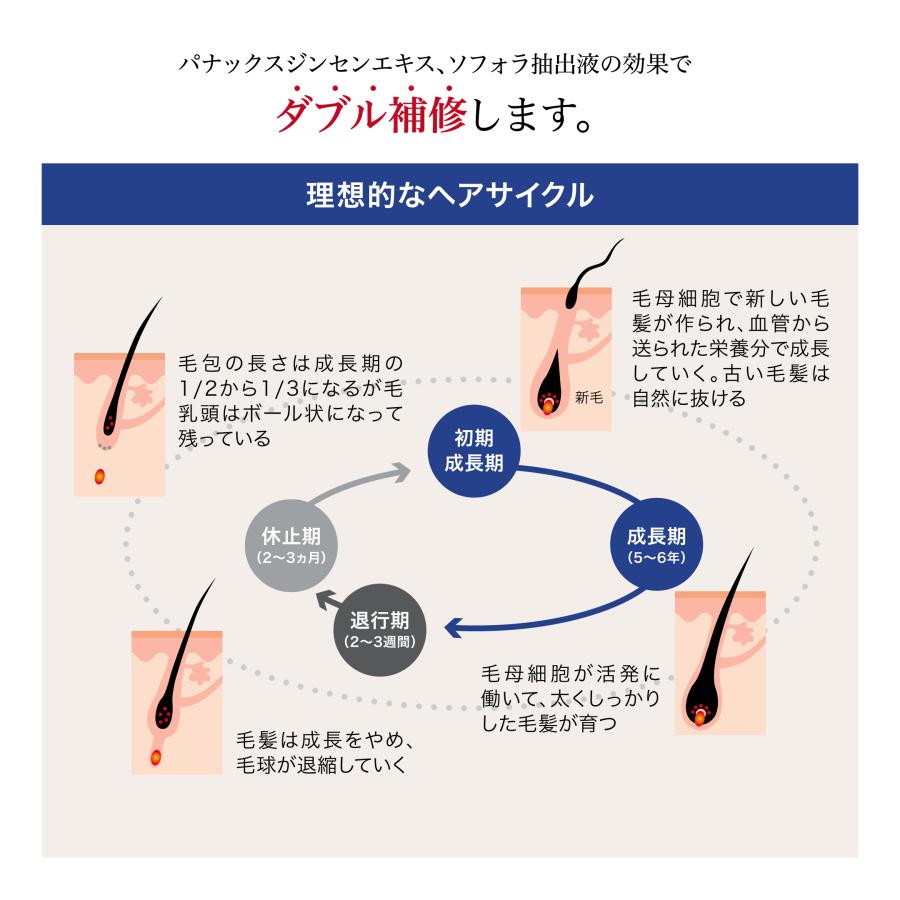SHISEIDO PROFESSIONAL（資生堂プロフェッショナル） 正規販売店