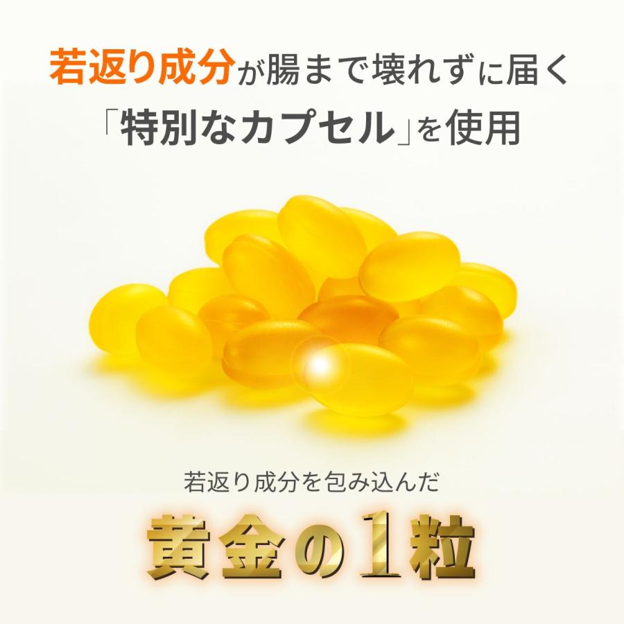 正規販売認証店】バイオリプロ FK チャージ|DARWIN 正規販売認証店】バイオリプロ FK チャージ|DARWIN