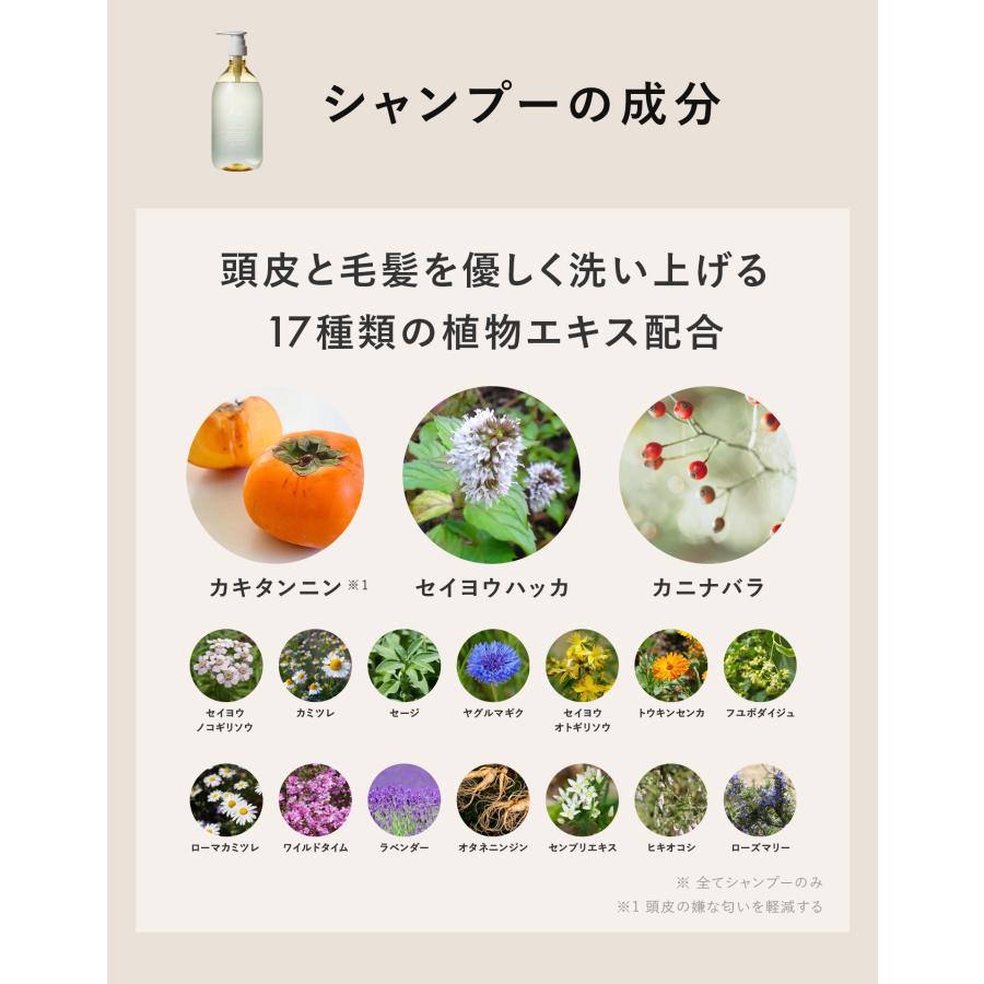 soeff ソフ For オーセンティック シャンプー トリートメント セット