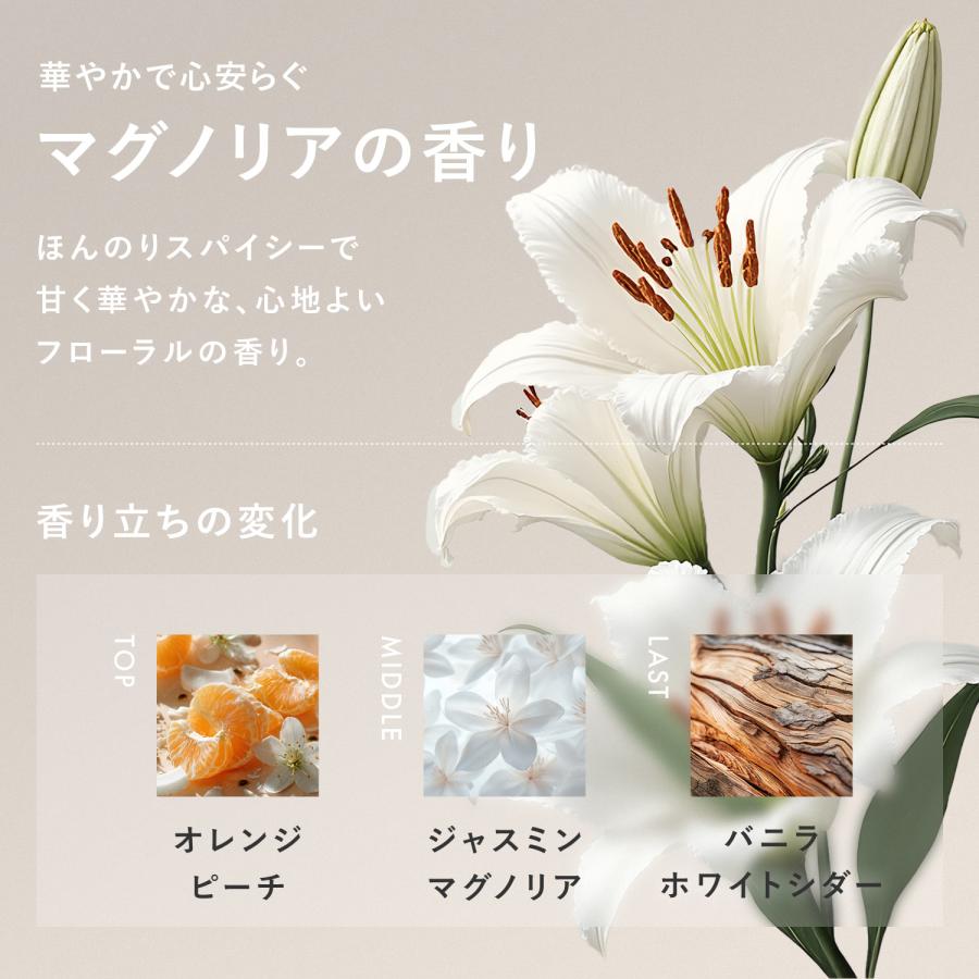 soeff ソフ For オーセンティック シャンプー トリートメント セット