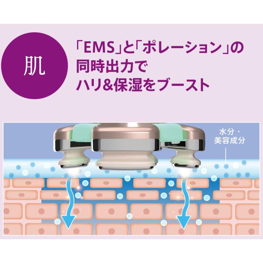 正規品販売店・送料無料】ゾーガンキン ブルーム CL-OK-ZKBM｜ZOGANKIN