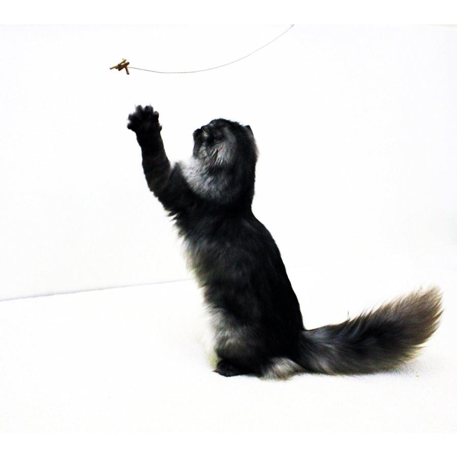 プラッツ キャットダンサー 猫 おもちゃ シュシュプラース Yahoo 店 通販 Yahoo ショッピング