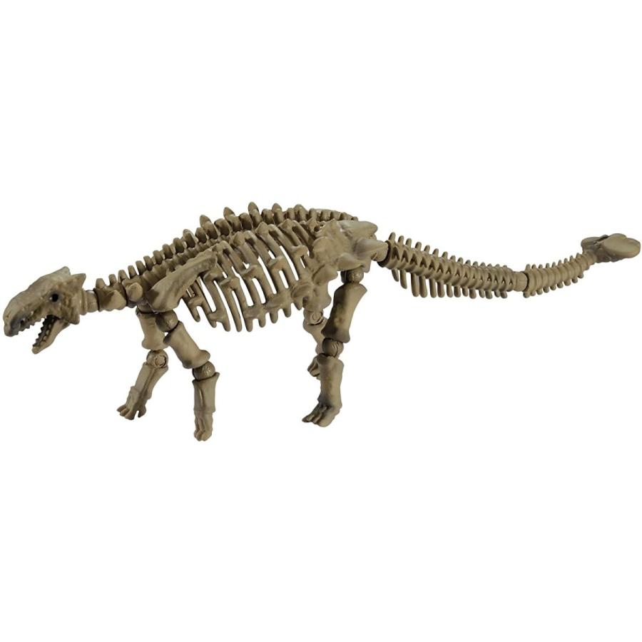 新品 ポーズスケルトン 恐竜シリーズ106 アンキロサウルス リーメント シュシュプラース Yahoo 店 通販 Yahoo ショッピング