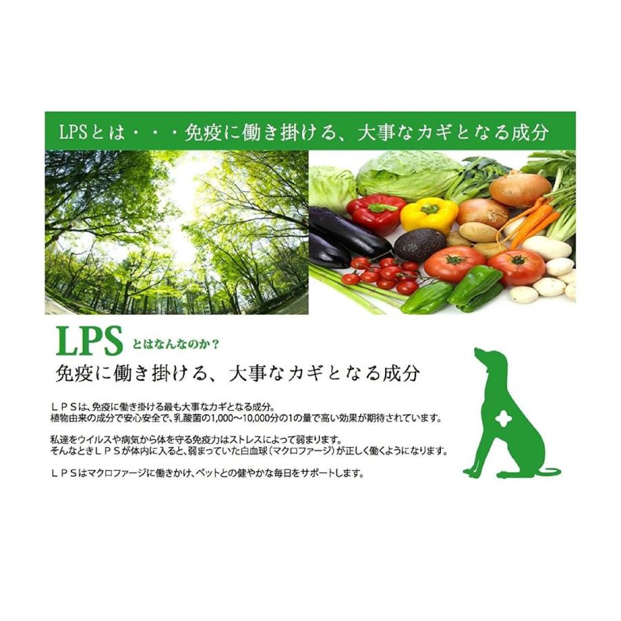 ペット用 お水のサプリ パントワンw 500ml シュシュプラース Yahoo 店 通販 Yahoo ショッピング