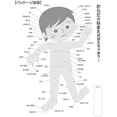 新品 ジグソーパズル からだおぼえちゃおう 80ピース 26 38cm ビバリー シュシュプラース Yahoo 店 通販 Yahoo ショッピング