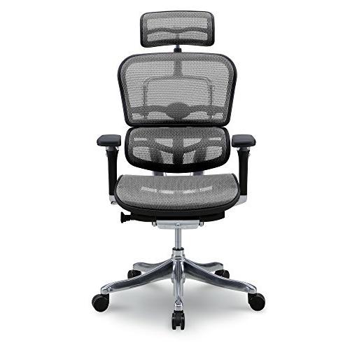 エルゴヒューマン プロ オフィスチェア グレー ヘッドレスト付き エラストメリックメッシュ ergohuman PRO EHP-HAM KM-10