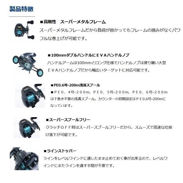 DAIWA（ダイワ） （20年7月新商品） ライト SW X IC SS （小型商品