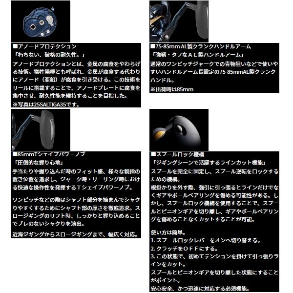 DAIWA（ダイワ） （25年10月新商品） 25 ソルティガ 10(右) （小型商品