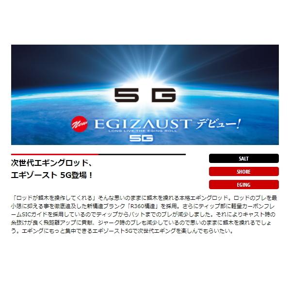 Major Craft（メジャークラフト） （21年6月新商品） エギゾースト 5G